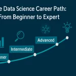 the ds careers path