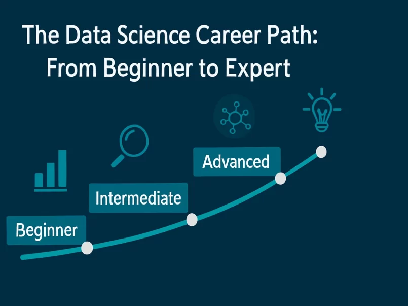 the ds careers path